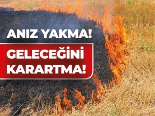 aniz-yakilmasinin-onlenmesine-dair-valilik-tebligi