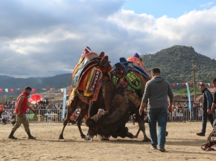 deveguresi-festivali-2021