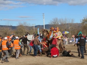 deveguresi-festivali-2021
