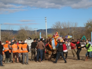 deveguresi-festivali-2021