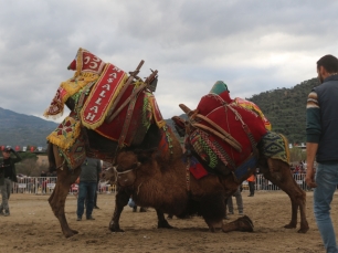deveguresi-festivali-2021