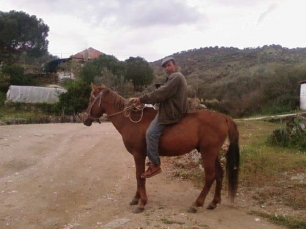 abak-mahallesi