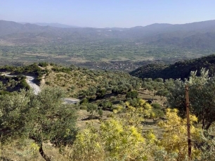 ektirli