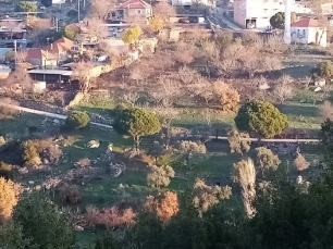 ektirli